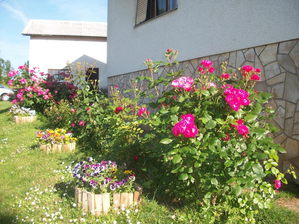 Villa House Veljko Vrhovine Exterior foto